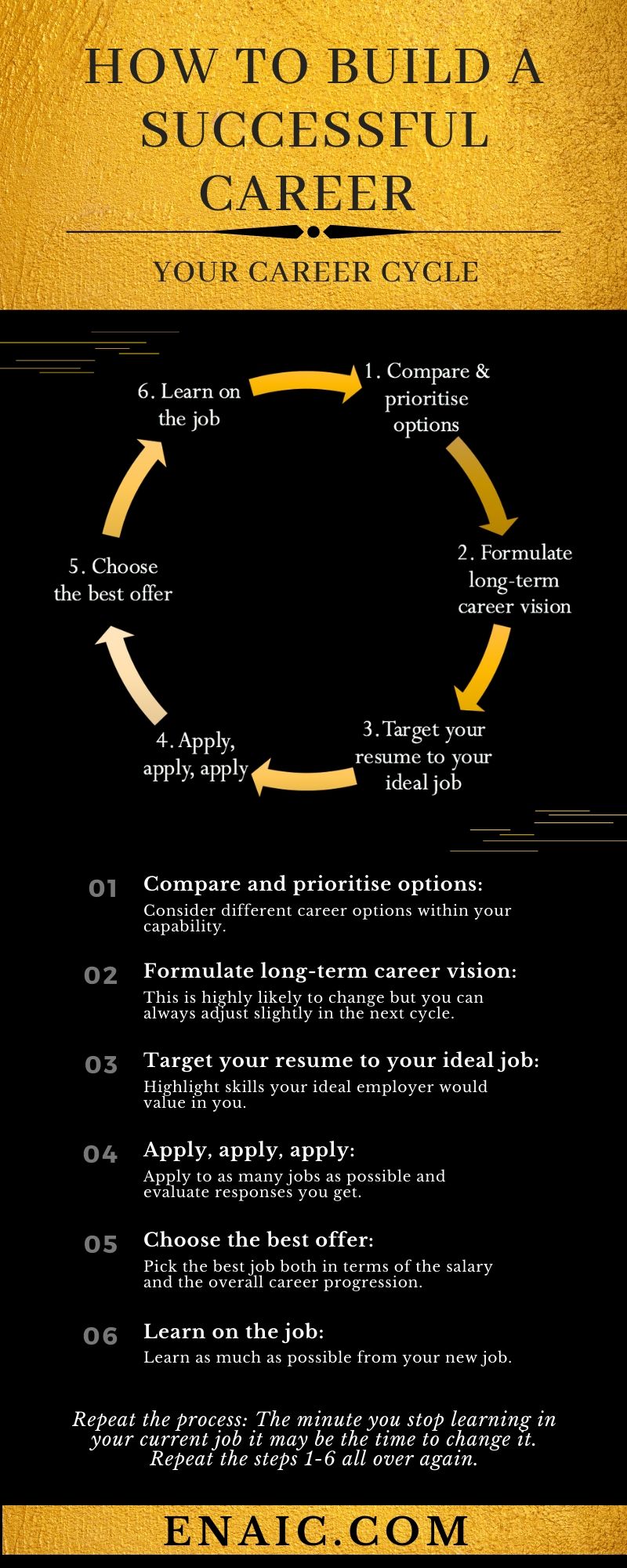 Successful Career Infographic